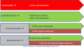 Vorschaubild der Version vom 10. Juli 2015, 13:09 Uhr